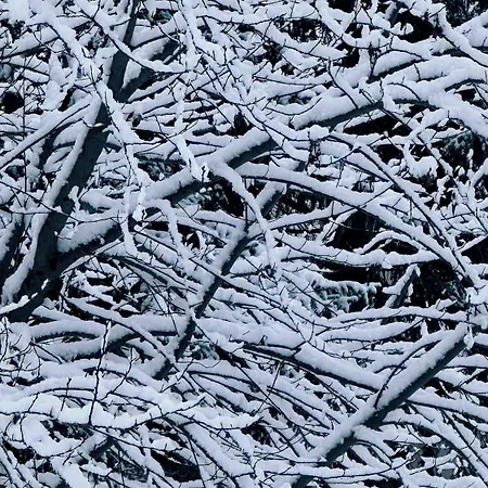 165 Qm Moderne 4 Zimmer Wohnung Mit Bergsicht - Piz Alpina